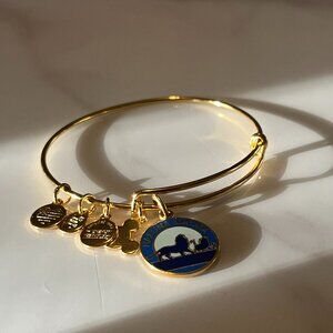 Disney Parks Alex and Ani Hakuna Matata Charm Bracelet
